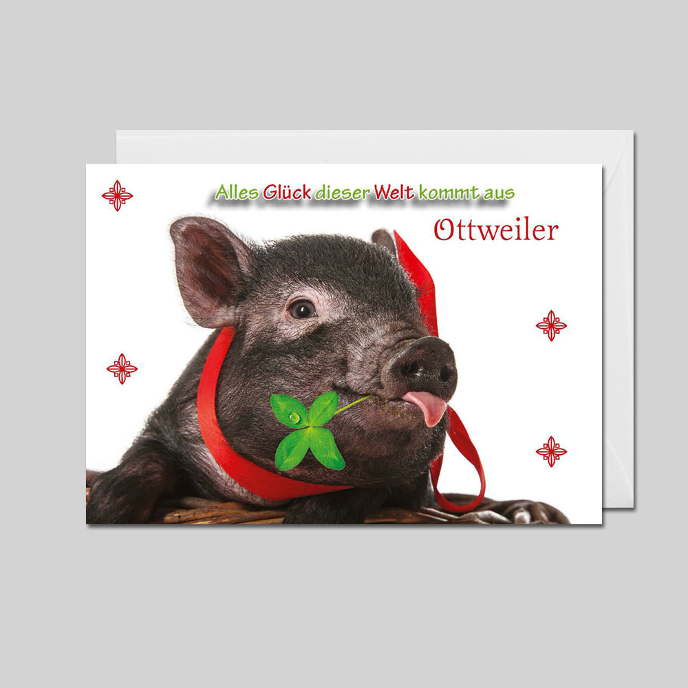City-Cards Schwein